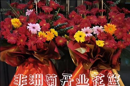 齐齐哈尔富拉尔基区开业花篮